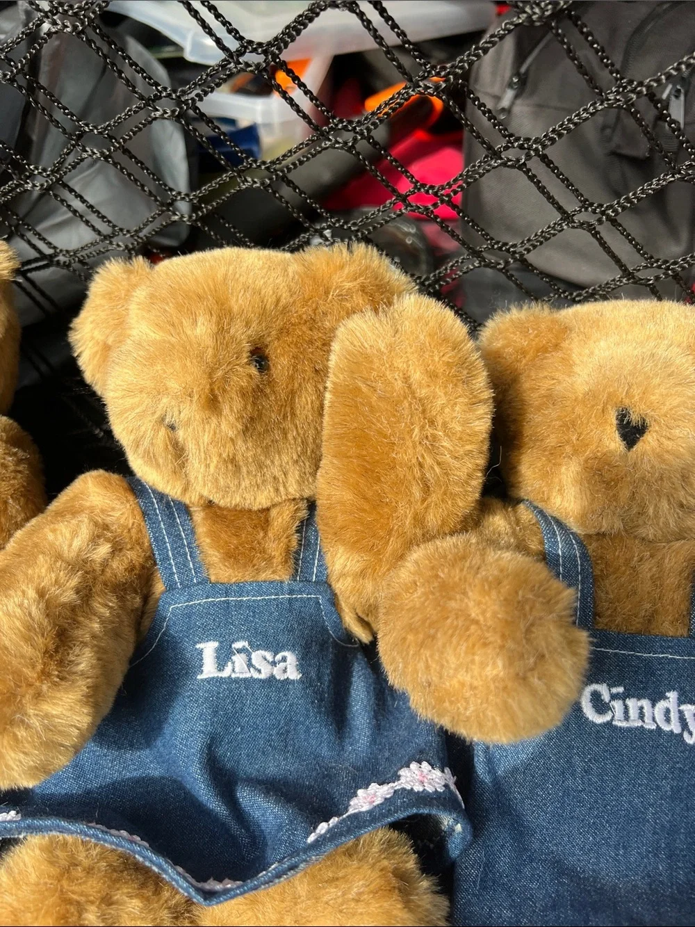 Personalized Brown Plush Teddy Bear Collection in Blue Outfits